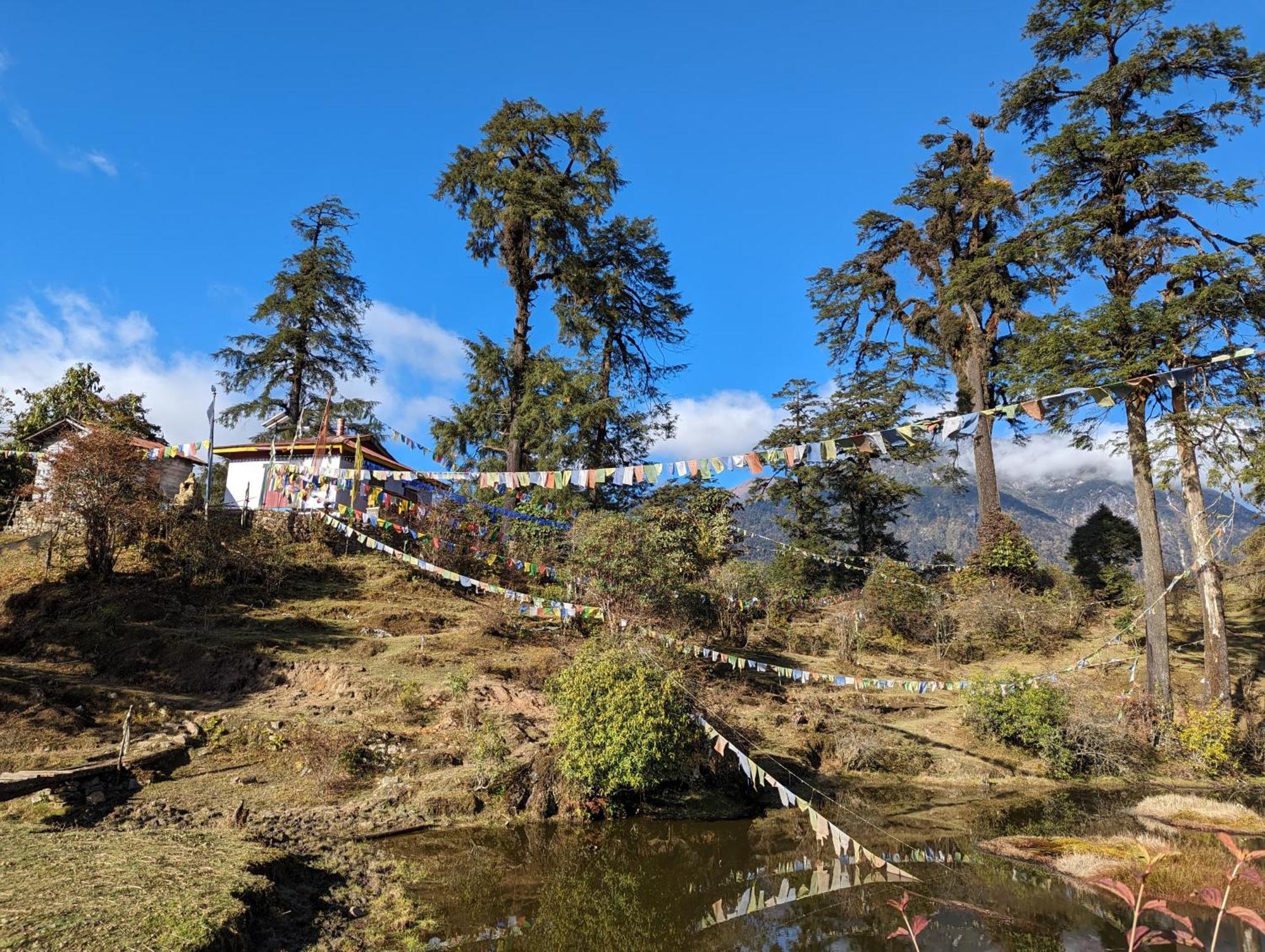 Auberge de jeunesse Wake In Himalayas à Pelling Extérieur photo